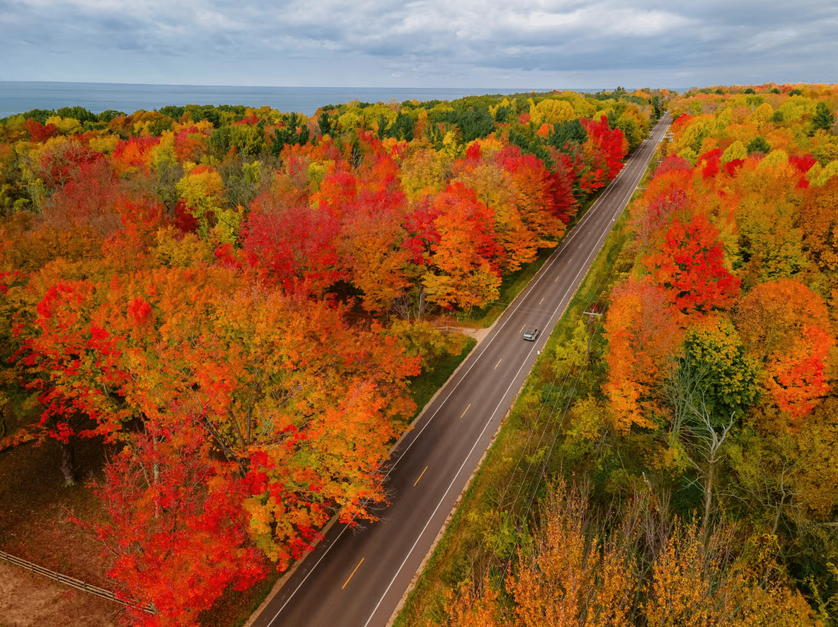 A scenic highway surrounded by vibrant autumn foliage.