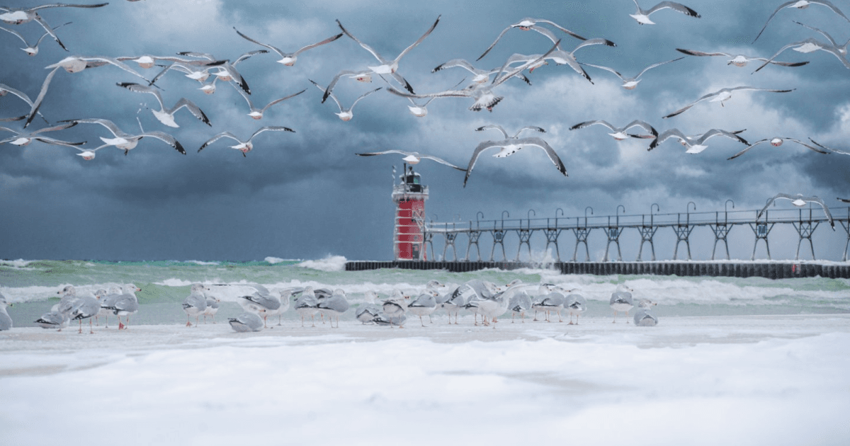 A flock of seagulls flies above a sandy beach with a red lighthouse and stormy skies. A flock of seagulls flies above a sandy beach with a red lighthouse and stormy skies.