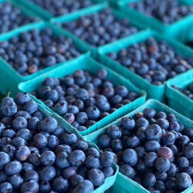 Several baskets of fresh blueberries